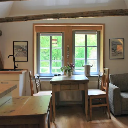 Apartment Chic In Thuringia With Sauna *