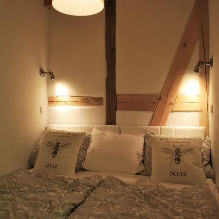 Apartment Chic In Thuringia With Sauna *