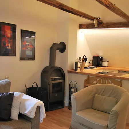 Apartment Chic In Thuringia With Sauna Hamma