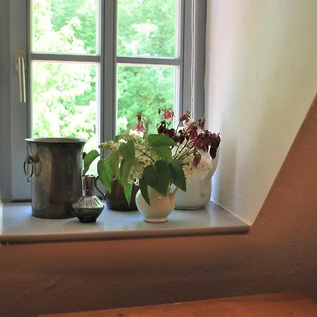 Apartment Chic In Thuringia With Sauna