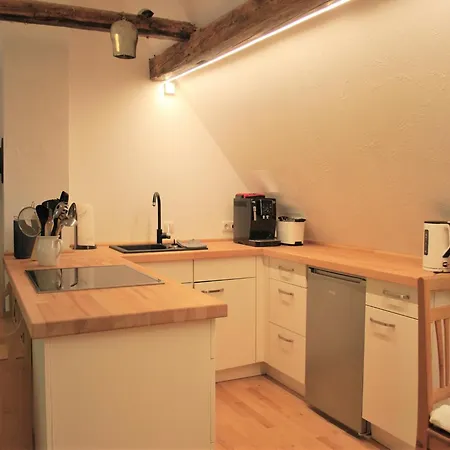 Apartment Chic In Thuringia With Sauna Hamma