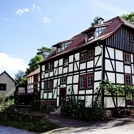 Apartment Chic In Thuringia With Sauna Hamma