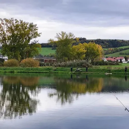 Chic In Thuringia With Sauna Διαμέρισμα Hamma