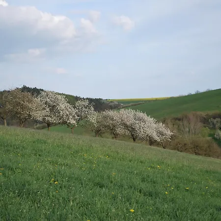 Chic In Thuringia With Sauna Διαμέρισμα *